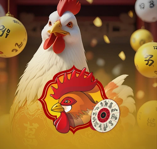 4D SHIO Ayam